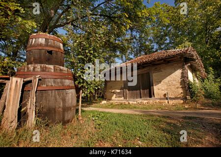 La Serbie, Rogljevo, les caves de Rogljevo Banque D'Images