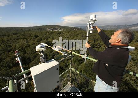 La France, l'Hérault, Puechabon, Jean Marc Ourcival site directeur, contrôle les capteurs de CO2. C'est un bouchon géant, laboratoire de la pluie dans la forêt de chercheurs CNRS Puechabon soumettre les parcelles de chênes verts à l'absence d'eau Banque D'Images