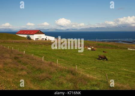 L'Islande, au nord, vue Hvitserkur, rok farm Banque D'Images