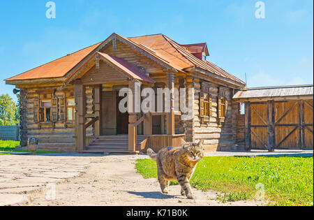 Le chat, marcher le long du sentier pédestre sur le territoire de l'architecture en bois Musée de Souzdal, la Russie. Banque D'Images