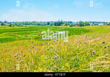 Les belles fleurs parfumées sur ilinskiy pré, la zone humide, c'est le repère naturel de Souzdal, la Russie. Banque D'Images