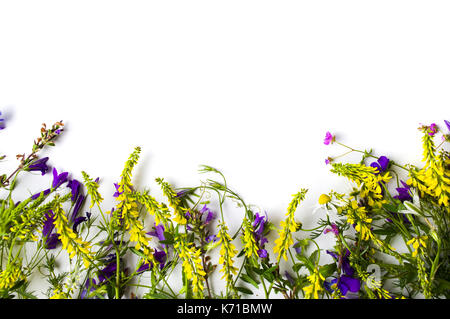 Arrangement de fleurs sauvages avec copie espace sur fond blanc Banque D'Images