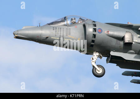 Un Harrier de la RAF Cottesmore en vol stationnaire au-dessus suite à la révision et au cours d'un vol d'essai. L'appareil affiche les marques de service de la mission en Afghanistan. Banque D'Images