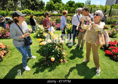 Concours de roses., parc cervantes de Cervantes, l'avenue diagonal 708-716, situé dans quartier de Pedralbes, district de les Corts, Barcelone, Catalogne, Banque D'Images