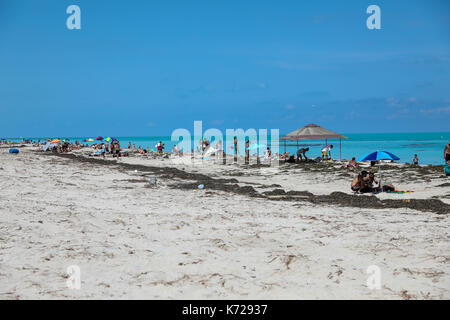 Vue sur une grande quantité de saleté sur la plage de Miami Beach à Miami aux États-Unis ce jeudi 14. (PHOTO: WILLIAM VOLCOV/BRÉSIL PHOTO PRESSE) Banque D'Images