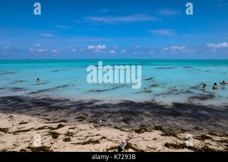 Vue sur une grande quantité de saleté sur la plage de Miami Beach à Miami aux États-Unis ce jeudi 14. (PHOTO: WILLIAM VOLCOV/BRÉSIL PHOTO PRESSE) Banque D'Images