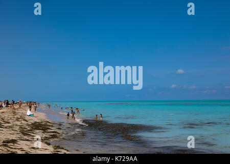 Vue sur une grande quantité de saleté sur la plage de Miami Beach à Miami aux États-Unis ce jeudi 14. (PHOTO: WILLIAM VOLCOV/BRÉSIL PHOTO PRESSE) Banque D'Images