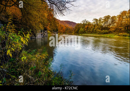 La rivière de la forêt en automne montagnes. belles rives herbeuses jauni avec arbres et falaise rocheuse. superbe paysage d'automne la nature au lever du soleil Banque D'Images