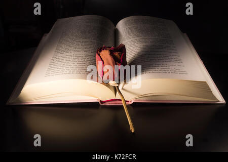 Livre avec une rose sur un fond noir Banque D'Images