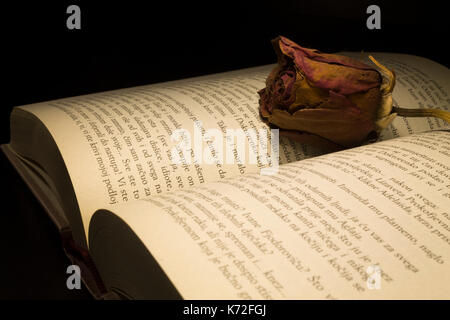 Livre avec une rose sur un fond noir Banque D'Images
