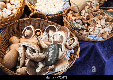 Amsterdam, Pays-Bas - 25 février 2017 : portobella. marchandises du marché plein air noordermarkt avec les vendeurs de vendre une gamme de produits tels que Banque D'Images