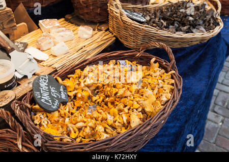 Amsterdam, Pays-Bas - 25 février 2017 : wild chanterelle. marchandises du marché plein air noordermarkt avec les vendeurs de vendre une gamme de produits tels que les Banque D'Images