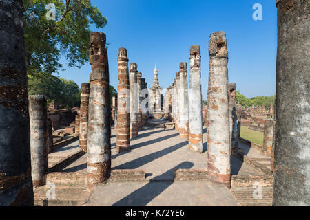 Les ruines du Wat Mahathat, parc historique de Sukhothaï, Sukhothai, Thaïlande Banque D'Images