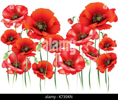 Belle rouge, rose et blanc poppies Illustration de Vecteur
