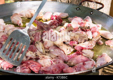 Processus de friture cuisson tranches de poulet et de la viande de lapin dans une grande télévision pan paella. jetant avec metal turner. plein air, week-end pique-nique relaxatio Banque D'Images