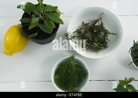 Des herbes dans un bol avec la lime douce sur fond blanc Banque D'Images