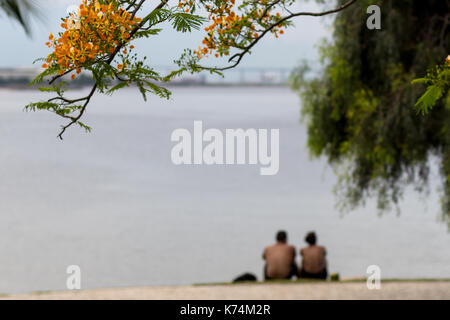 Photo de fleurs jaunes pendant que dans les arrière-plans un couple sièges sur le sol regardant la baie de Guanabara à Rio de Janeiro, Brésil Banque D'Images