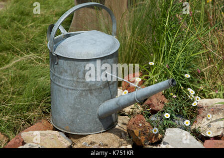 Arrosoir aluminium galvanisé traditionnel sans une rose sur un tas de gravats dans un jardin de la faune. Banque D'Images