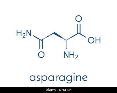 L'asparagine (l-asparagine, Asn, n) molécule d'acide aminé. formule topologique. Illustration de Vecteur