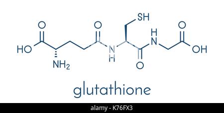 Le glutathion (GSH), le glutathion réduit antioxydant endogène molécule. formule topologique. Illustration de Vecteur