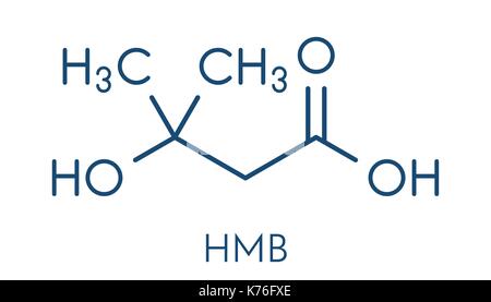 Beta-hydroxy beta-methylbutyric hmb leucine (acide) métabolite molécule. utilisé comme supplément, peut augmenter la force et la masse musculaire. formule topologique. Illustration de Vecteur