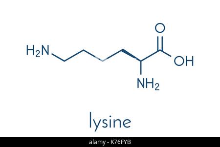 La lysine (L-lysine, lys, k) acide aminé molécule. formule topologique. Illustration de Vecteur