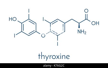 La thyroxine (T4, molécule de l'hormone thyroïdienne levothyroxine). prohormone de thyronine (T3). utilisé comme médicament pour traiter l'hypothyroïdisme. formule topologique. Illustration de Vecteur