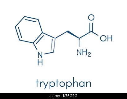 L-tryptophane le tryptophane (Trp), w, acide aminé molécule. formule topologique. Illustration de Vecteur