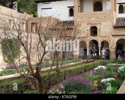 Patio de la azequia, palais de l'Alhambra, Grenade, Andalousie, Espagne, Europe Banque D'Images