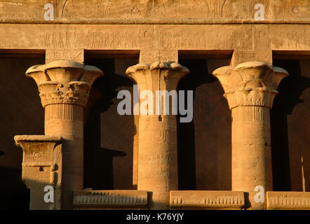 Différentes colonnes doriques, ioniques () dans le Temple de Dieu Horus à Edfou island, l'Egypte, l'Afrique du Nord, Afrique Banque D'Images