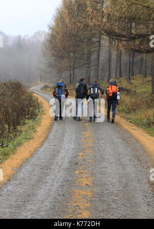 Les randonneurs - groupe randonneur en montagne  > expédition Alpine aller vers le pic Banque D'Images