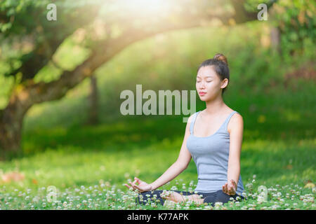 Parc de yoga,femme assise sous l'arbre du yoga. Banque D'Images