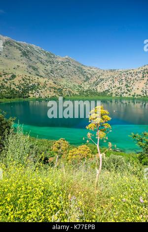 Geece, Crète, district d'Hania, environs de Georgioupolis, le Lac de Kournas est le seul lac d'eau douce en Crète Banque D'Images