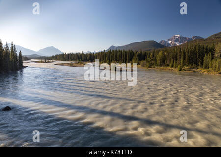 Tôt le matin, vue sur le mont Edith Cavell et de la rivière Athabasca, Jasper National Park, Alberta, Canada Banque D'Images