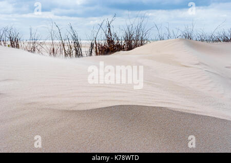 Paysage de dunes de sable dans la réserve nationale de l'ouest de la Belgique dans la ville de De Panne le long de la côte de la mer du Nord de la Belgique. Banque D'Images