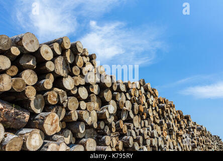 Pile de couper du bois de sciage contre ciel bleu clair. libre de troncs de bois. Banque D'Images