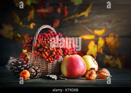 Panier avec Rowan et pommes sur une table en bois. encore l'automne et la vie. Banque D'Images