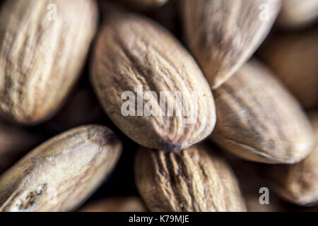 Gros plan de l'écrou d'amande. Banque D'Images