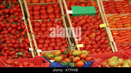 Tomate rouge nombreux dans les cases en vente dans l'épicerie en été dans un pays méditerranéen Banque D'Images