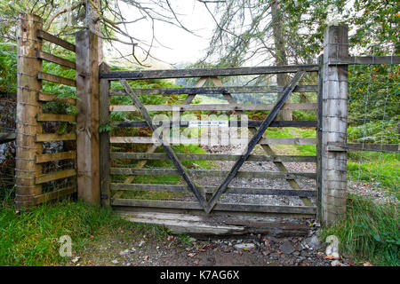 Un signe sur une grande hauteur gate dire "fermez la porte, jeunes arbres', Lake District, Cumbria, England, UK Banque D'Images