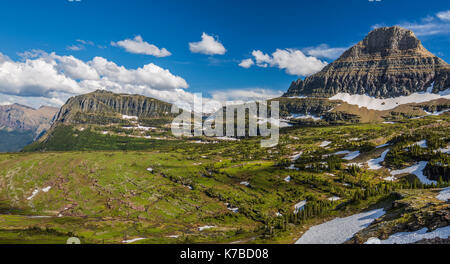 Fleurs sauvages de la faune et des paysages du parc national des Glaciers Banque D'Images