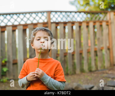Boy blowing dandelion debout contre une clôture en cour Banque D'Images