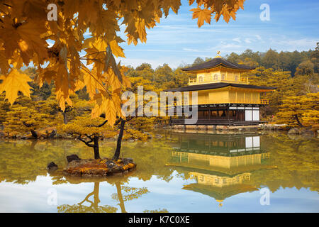 Le Japon saison d'automne de temple kinkakuji (pavillon d'or) à Kyoto, au Japon. Banque D'Images