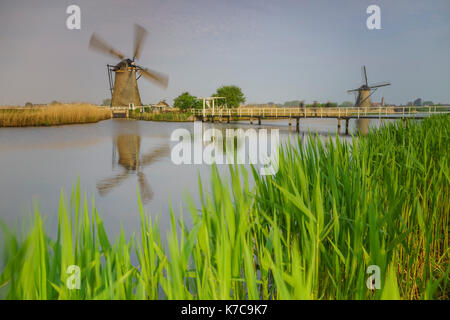 Les moulins à vent les trames de l'herbe verte reflétée dans le canal kinderdijk rotterdam Pays-Bas Hollande du Sud Europe Banque D'Images