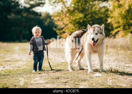 Petit garçon va pour marcher avec malamute chien en laisse le long chemin forestier. Il est titulaire laisse dans sa main. Banque D'Images