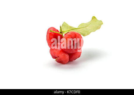 Apple rose isolé sur le fond blanc. Banque D'Images