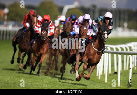 Coureurs et cyclistes prendre le premier virage de la tasse pendant trois jours de doncaster du William Hill st. leger festival à hippodrome de Doncaster. Banque D'Images