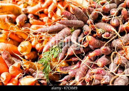 Les carottes de différentes couleurs à un marché de producteurs Banque D'Images