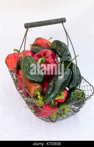 Farm Fresh peppers assortis Banque D'Images