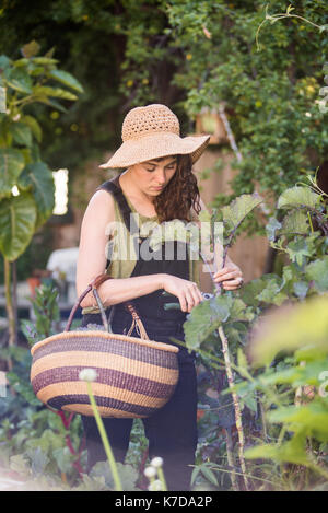 Femme de découpe à l'aide d'un sécateur de jardin Banque D'Images
